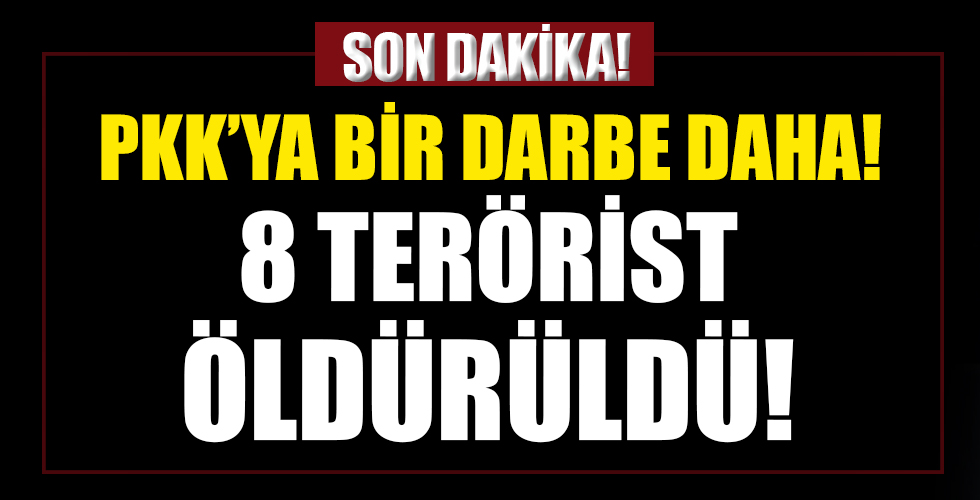 PKK'ya bir darbe daha! 8 terörist öldürüldü