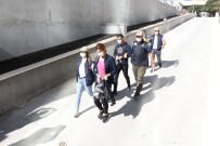 Bombalı Eyleme 4 Tutuklama