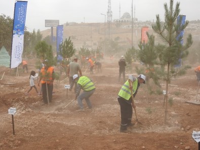 Habeş Kanyonu İle Fırat Nehri Arasında 27 Milyon Fidan Dikilecek