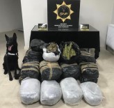 Uyuşturucu Operasyonunda 135 Kilogram Esrar Ele Geçirildi