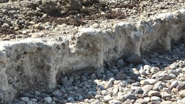 Büyükçekmece Gölü'nün suyu çekildi... 1500 yıllık baraj hattı ortaya çıktı