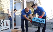 9 Ayda 4 Bin 520 Sokak Hayvanının Bakım Ve Tedavisi Yapıldı