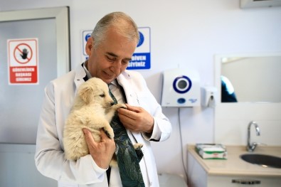 Can Dostlar Büyükşehire Emanet