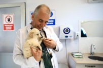 Can Dostlar Büyükşehire Emanet