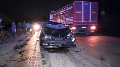 Düzce'de İneklere Çarpan Otomobildeki İki Kişi Yaralandı