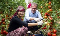 Mersin'de Tarım Kalkınıyor, Üretici Kazanıyor Haberi