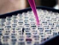 Sağlık Bakanlığı düğmeye bastı! 15 Ekim'de yeni bağışıklık haritası