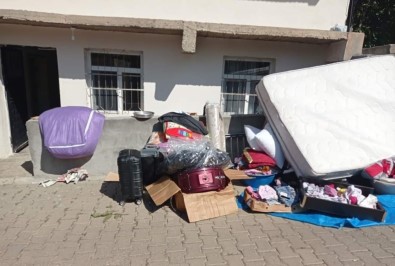 Bingöl'de Bir Evden 7 Yılan Çıkartıldı