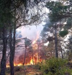 Karaman'daki Orman Yangını Söndürüldü