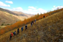 Tarihi Köy Odalarına Ulaşmak İçin 18 Kilometre Yürüdüler