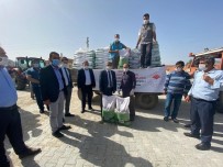 Altıntaş'ta Tarım Ve Orman Bakanlığı Bütçeli Tohum Dağıtımı