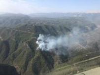 Antalya'daki Yangında 10 Hektarlık Orman Yandı Haberi
