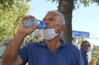 Aydın'da 77 Yıllık Sıcaklık Rekoru Kırıldı