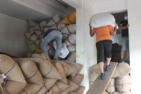 Eylül Ayı İçerisinde 33 Bin 471 Ton Fındık İhraç Edildi