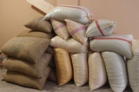 Giresun'dan Eylül Ayı İçerisinde 33 Bin 471 Ton Fındık İhraç Edildi