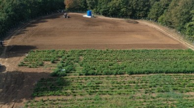 İzmit Belediyesi Tarımsal Üretim Bahçesinde Kış Hazırlığı