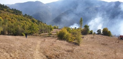 Kastamonu'daki Orman Yangınları Söndürüldü