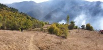 Kastamonu'daki Orman Yangınları Söndürüldü