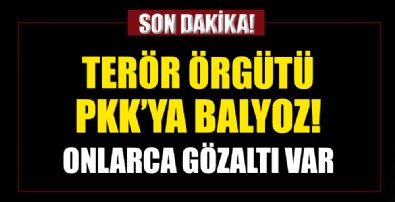 Terör örgütü PKK/KCK'ya balyoz! Onlarca gözaltı var...