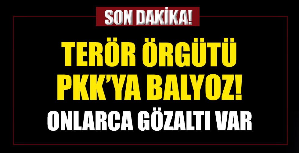 Terör örgütü PKK/KCK'ya balyoz! Onlarca gözaltı var...