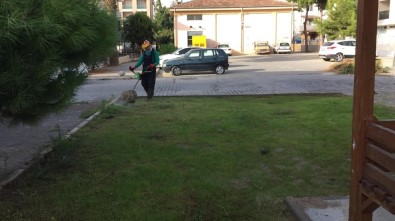 Akbük Ve Altınkum'da Park Ve Yeşil Alan Temizliği Yapıldı