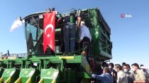 Diyarbakır'da Pamuk Hasadına Başlandı Haberi