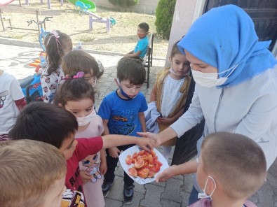 Doğal Yaşamı Anaokulunda Öğreniyorlar