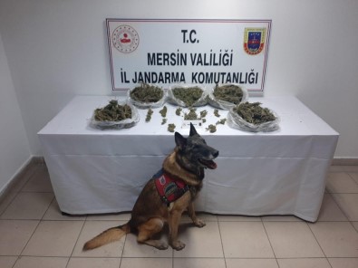 Mersin'de Uyuşturucu Operasyonu