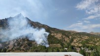 Şemdinli'de Orman Yangını Haberi