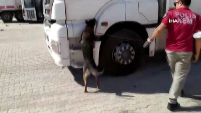 Adana'da 5 Milyon 350 Bin Adet Kaçak Makaron Ele Geçirildi