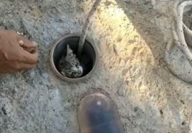 Atık Su Borusuna Sıkışan Yavru Kedi Kurtarıldı