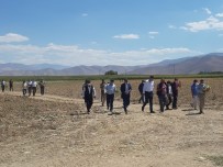 Başkan Şamiloğlu Açıklaması 'Çiftçiye Çok Acil Yem Desteği Verilmeli' Haberi