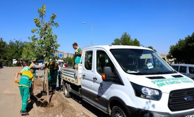Diyarbakır'da Cadde  Yeşillendirme Çalışmaları