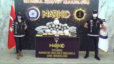 İstanbul'da 50 Kilogram Esrar Ele Geçirildi