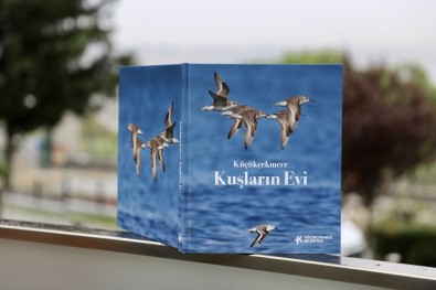 Küçükçekmece Gölü'nde Yaşayan 166 Kuş Türü Kitapta Toplandı