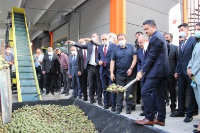 Eline Küreği Alan Bakan Pakdemirli Makineye Ceviz Yükledi