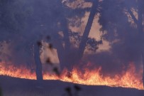 Hatay'daki Yangın Farklı Noktalara Sıçradı Haberi