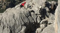 Kayalıklarda Mahsur Kalan Keçileri Jandarma Kurtardı Haberi