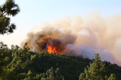 Orman Yangını Arsuz'a Doğru İlerliyor
