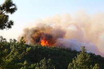Orman Yangını Arsuz'a Doğru İlerliyor Haberi