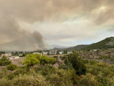 Suriye'de Orman Yangını Çıktı, Dumanı Samandağ'ı Kapladı