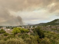 Suriye'de Orman Yangını Çıktı, Dumanı Samandağ'ı Kapladı Haberi