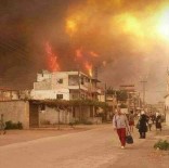 Suriye'de Orman Yangını Devam Ediyor