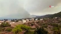 Suriye'nin Hatay Sınırında Orman Yangını Çıktı