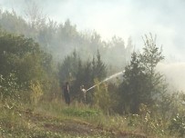Trabzon'da Örtü Yangını Haberi