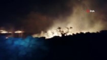 Bodrum'da Otluk Ve Ağaçlık Alanda Çıkan Yangın Söndürüldü
