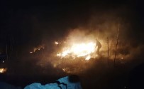 Bodrum'da Otluk Yangın