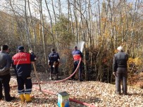 Hakkari'de Orman Yangını