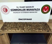 Sınır Kapısında Bin 380 Adet Tarihi Sikke Ele Geçirildi