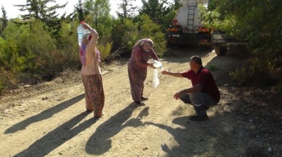 Antalya'da Orman Yangını